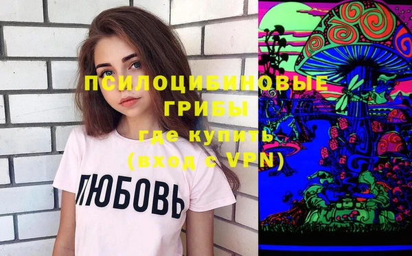 СК Кукмор