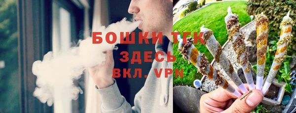 стафф Кулебаки