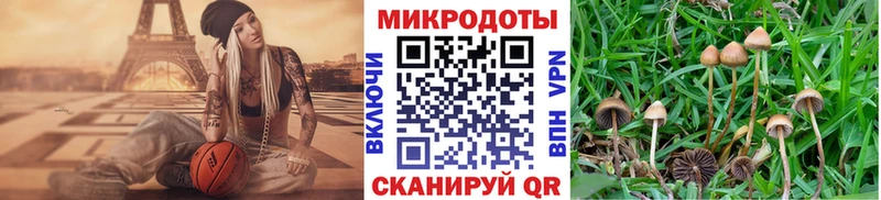 цены   mega онион  Галлюциногенные грибы Psilocybe  Томилино 